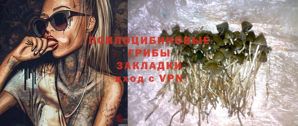 spice Алексин