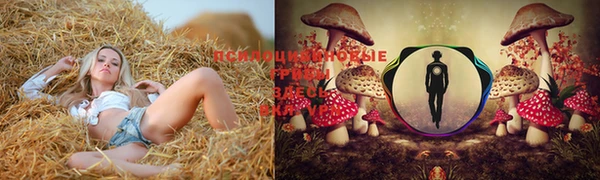 дистиллят марихуана Алзамай